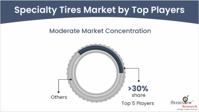 Specialty Tires Market Key Players